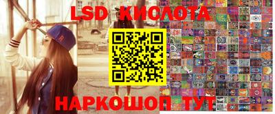 шишки Бердск