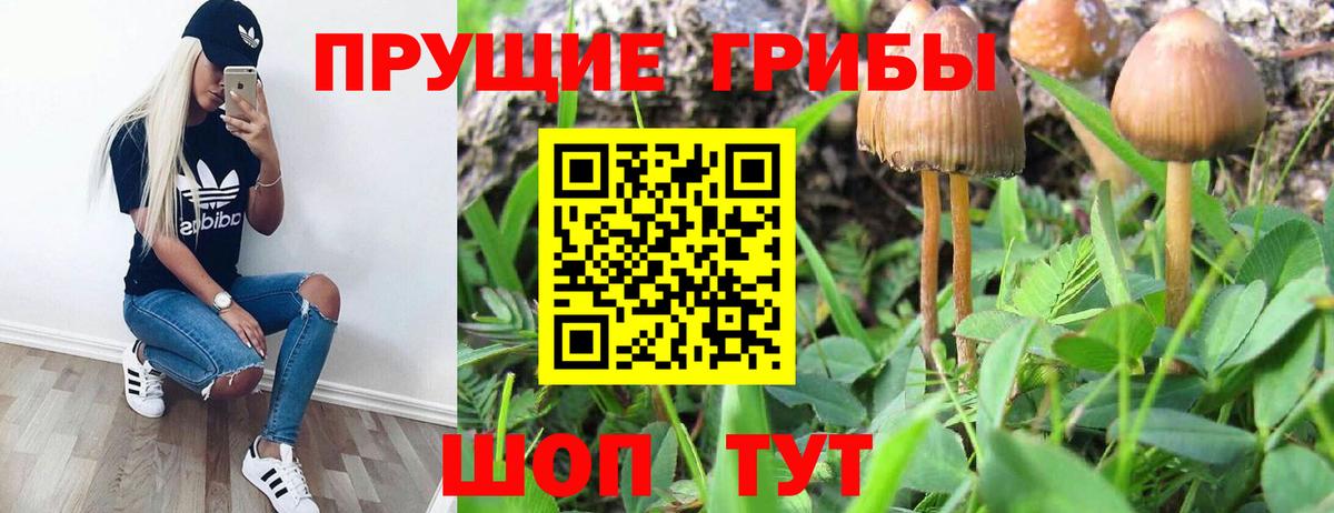Галлюциногенные грибы мухоморы  Вход с VPN  Самара 